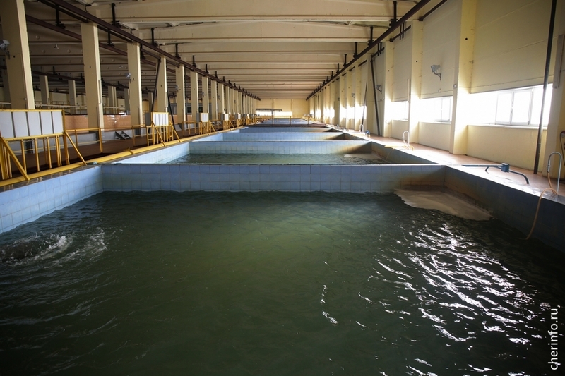 В Череповце обновили систему очистки питьевой воды.