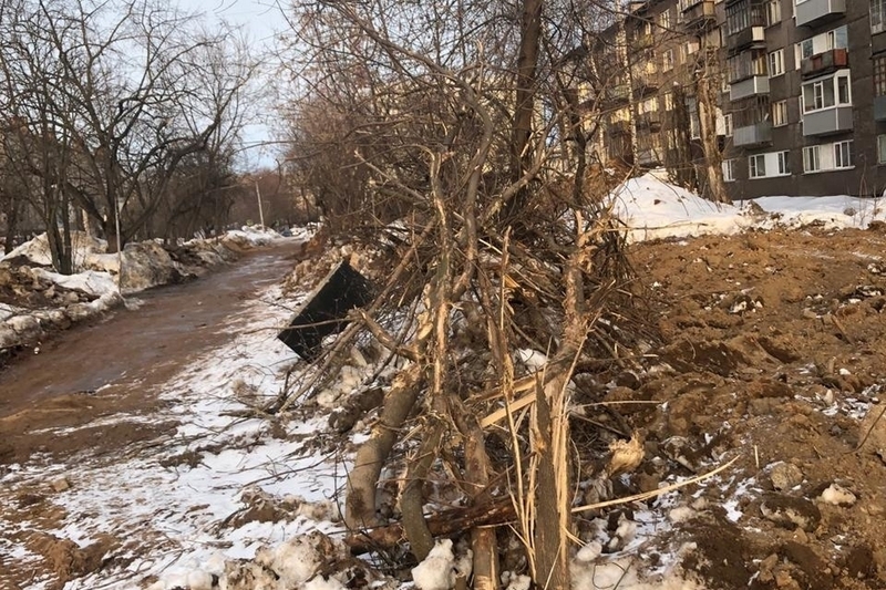На Устюженской из-за строительства дома незаконно вырубили деревья.